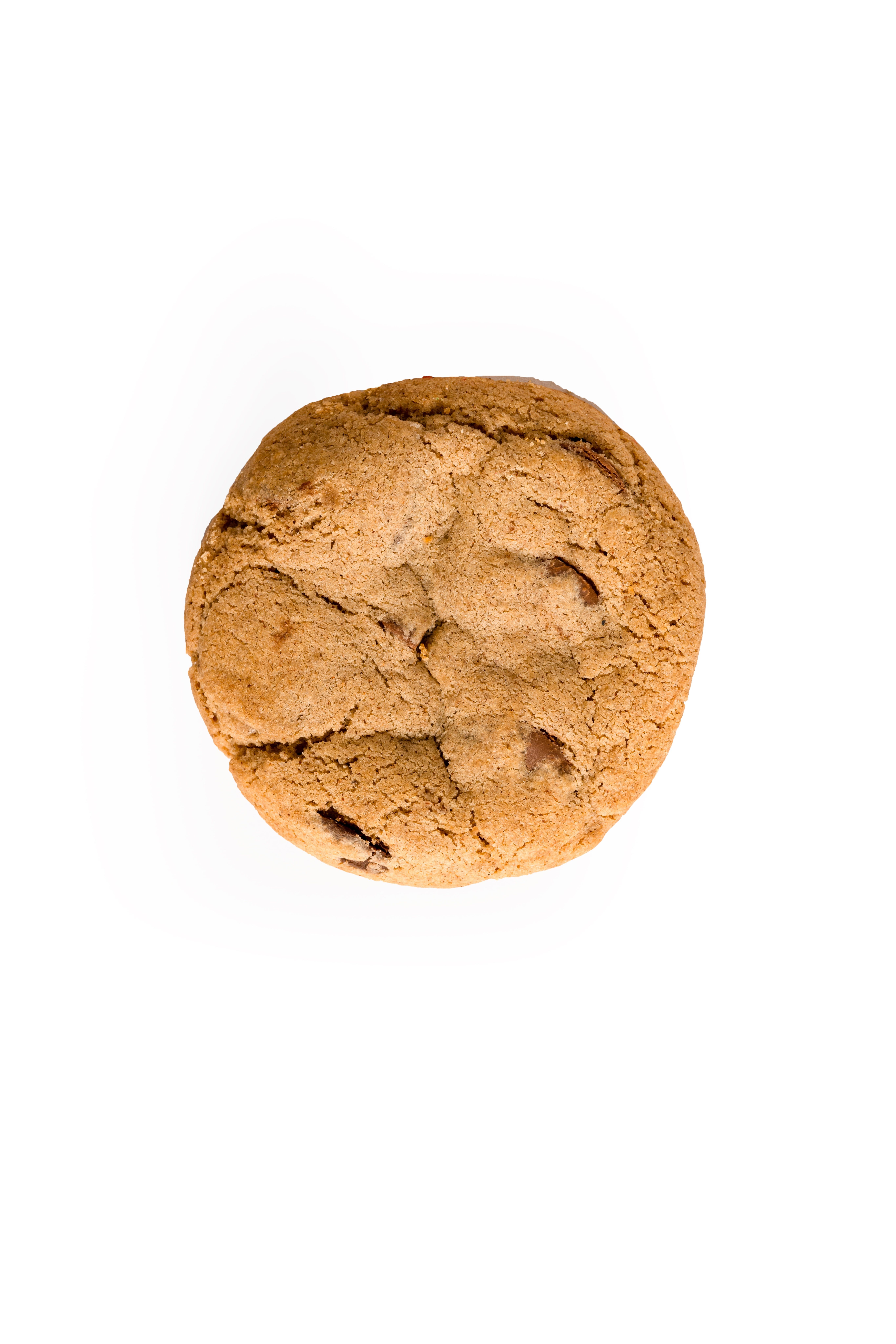 Chocolate Chip Cookie.